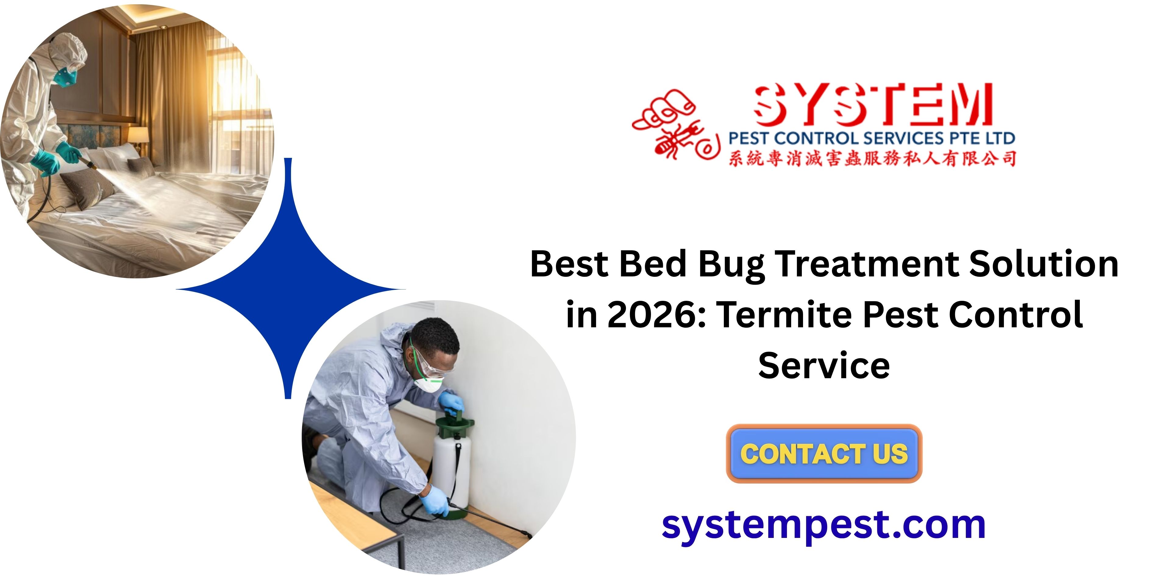 Best Bed Bug Treatment Solution in 2026: Termite Pest Control Service